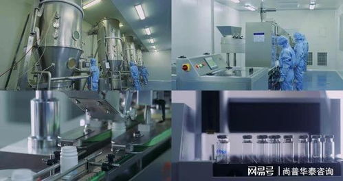 2021年生物試劑產(chǎn)品及技術(shù)服務(wù)市場深度分析 聚焦技術(shù)服務(wù)板塊